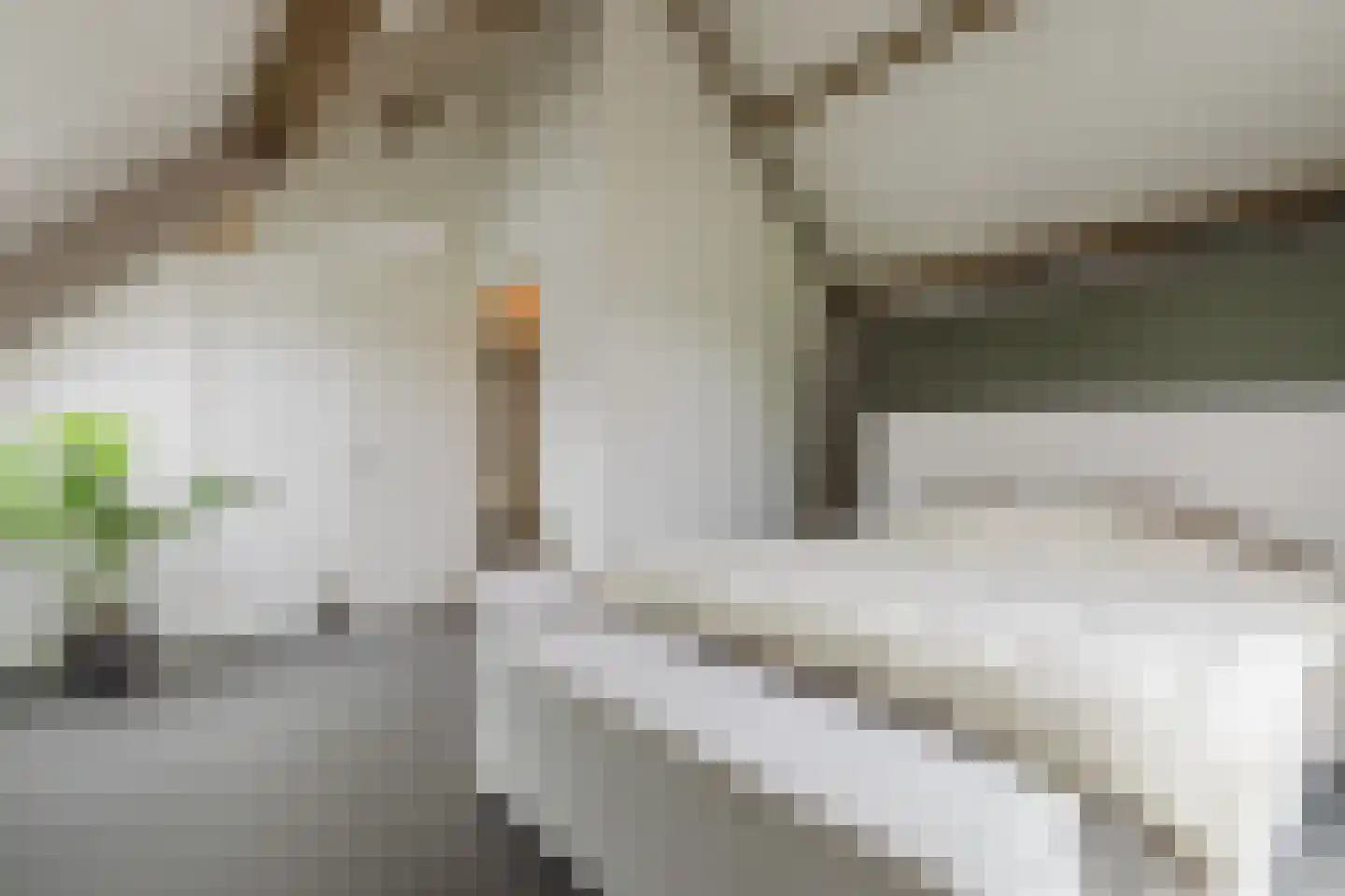 Conijnsberghe 4 Rijsbergen thumbnail 36