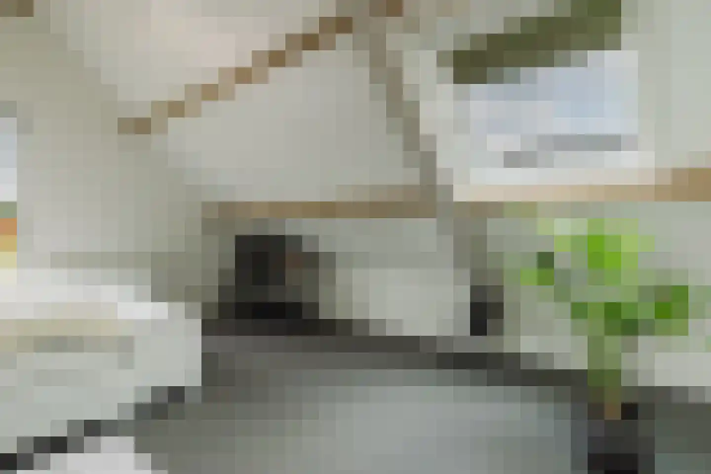 Conijnsberghe 4 Rijsbergen thumbnail 37