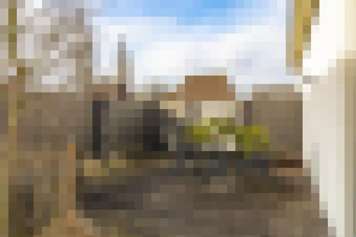 Conijnsberghe 4 Rijsbergen thumbnail 46