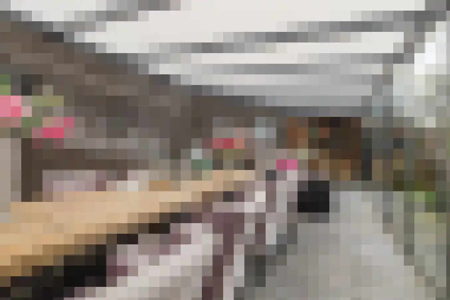 Conijnsberghe 4 Rijsbergen thumbnail 50