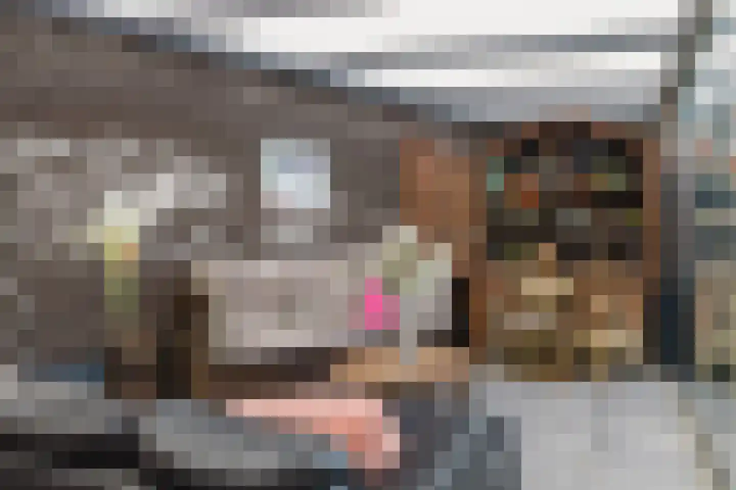 Conijnsberghe 4 Rijsbergen thumbnail 51