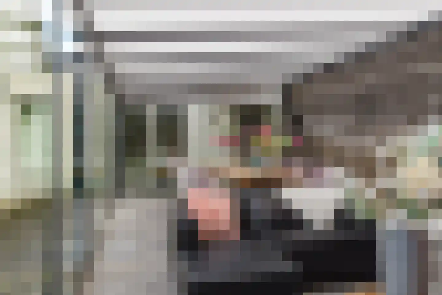Conijnsberghe 4 Rijsbergen thumbnail 52