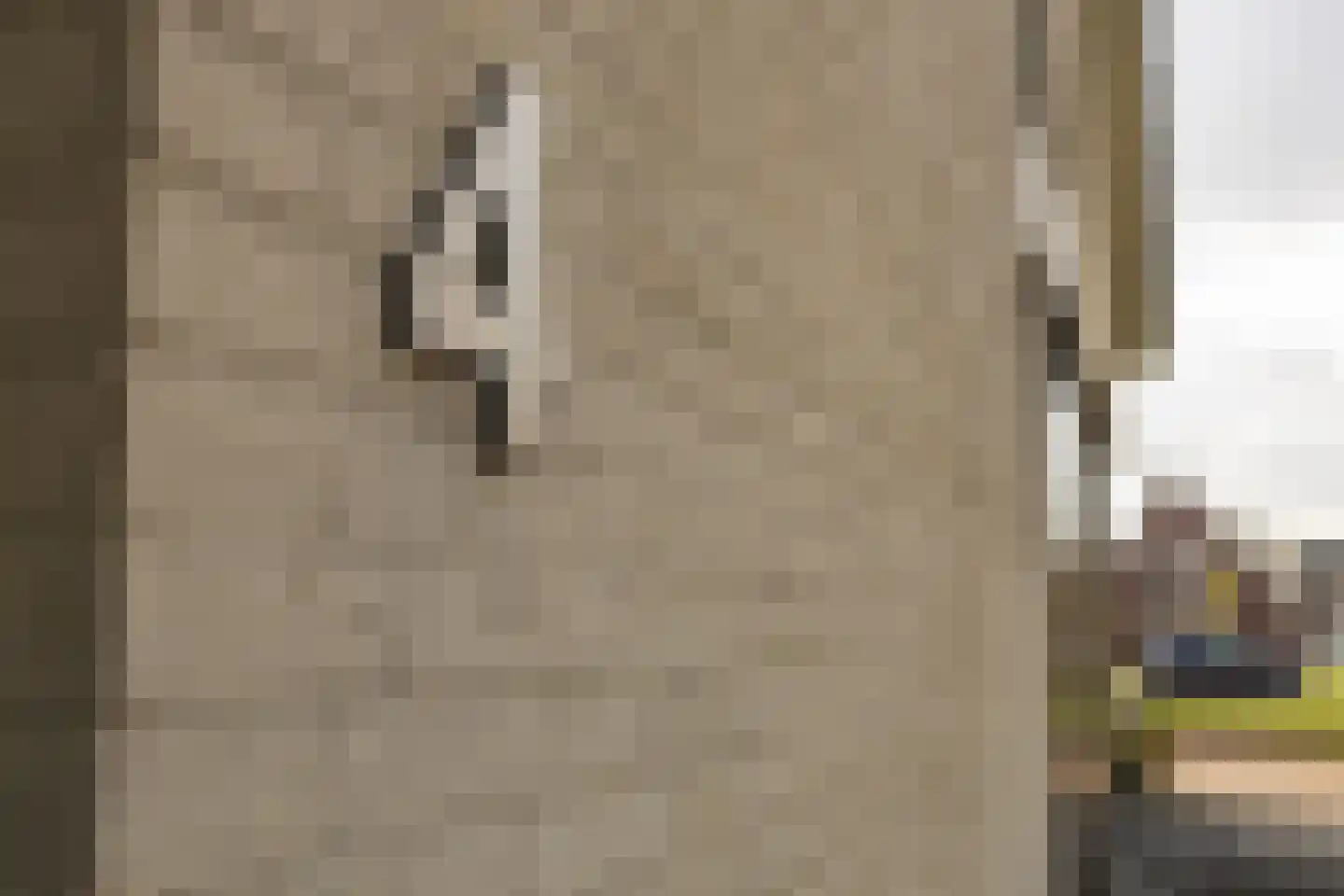 Conijnsberghe 4 Rijsbergen thumbnail 53
