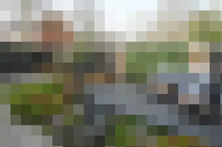 Conincksmeer 14 Vinkeveen thumbnail 28
