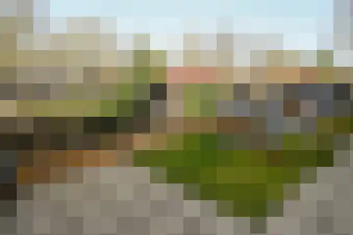 Conincksmeer 14 Vinkeveen thumbnail 29