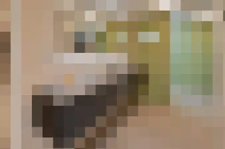 Conincksmeer 14 Vinkeveen thumbnail 4