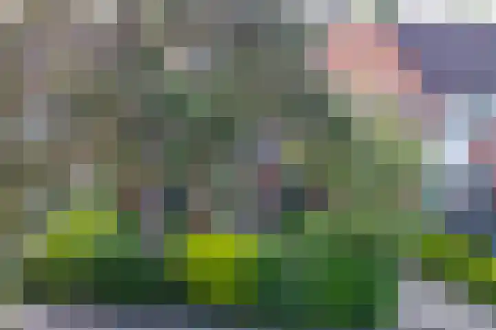 Conincksmeer 50 Vinkeveen thumbnail 15