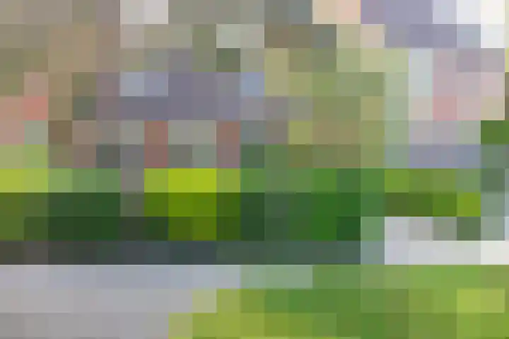 Conincksmeer 50 Vinkeveen thumbnail 4