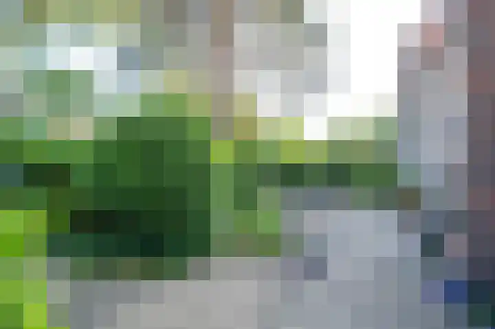 Conincksmeer 50 Vinkeveen thumbnail 6