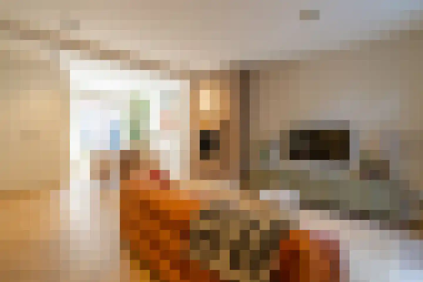Coninckstraat 14 Amersfoort thumbnail 9