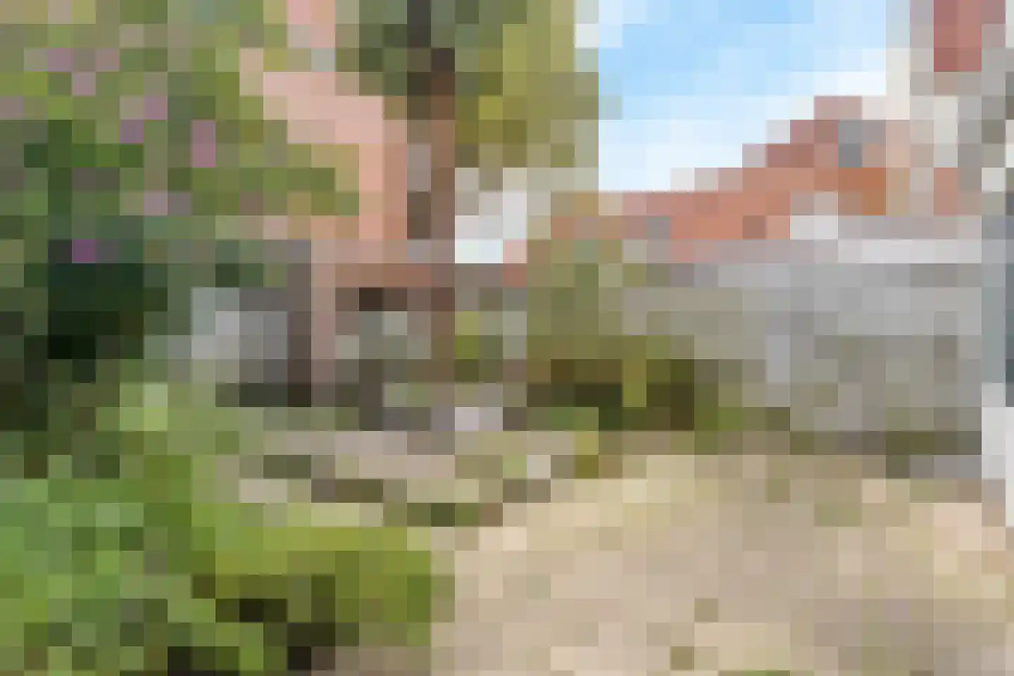 Coninckstraat 25 Amersfoort thumbnail 30