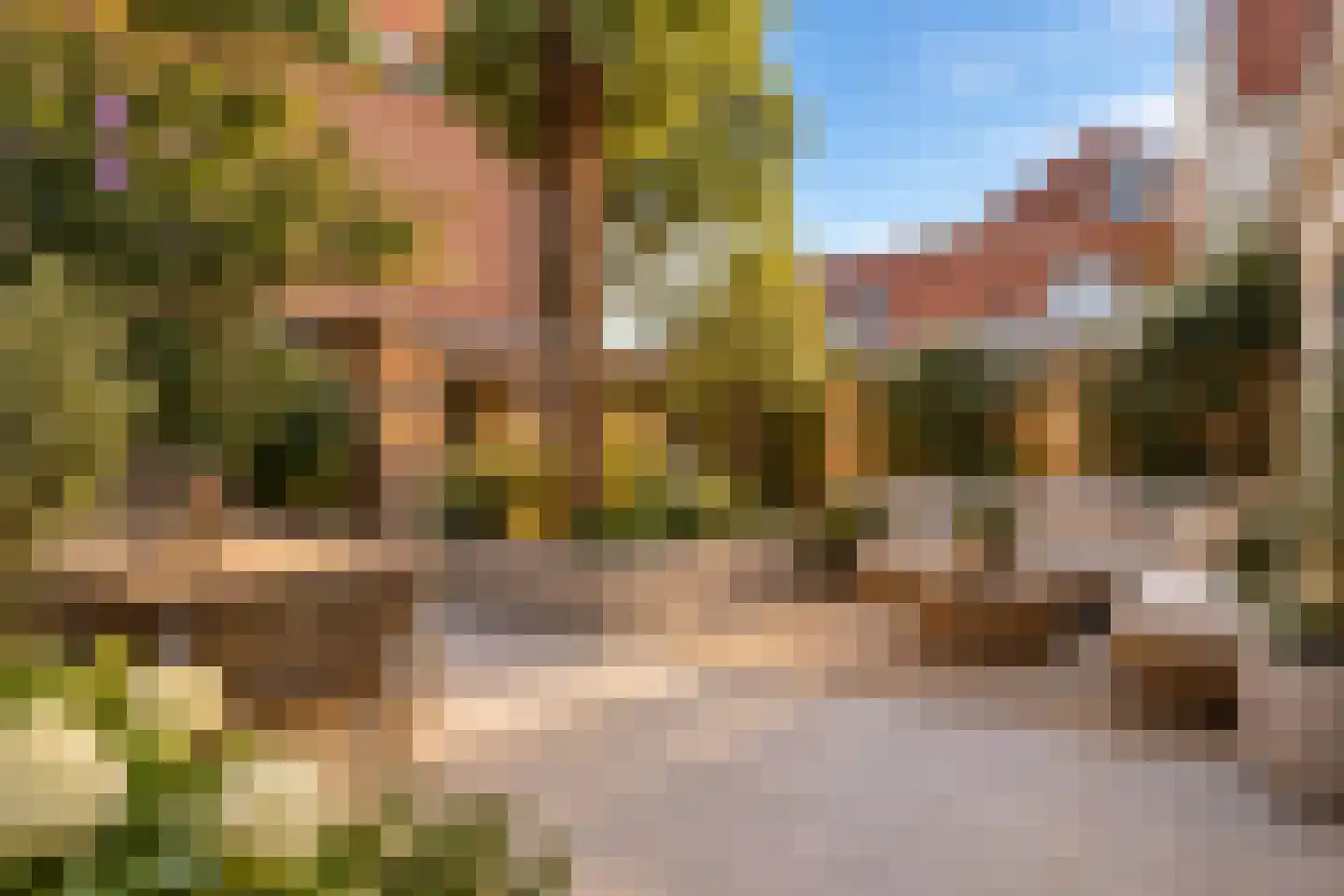 Coninckstraat 25 Amersfoort thumbnail 31