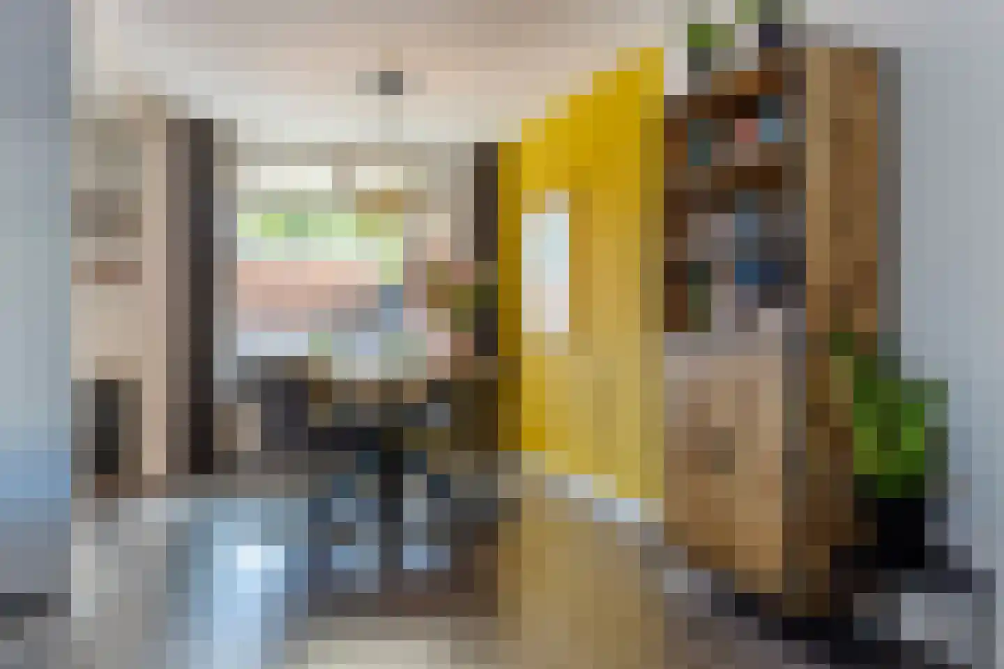 Conincksweg 33 Steenwijkerwold thumbnail 11