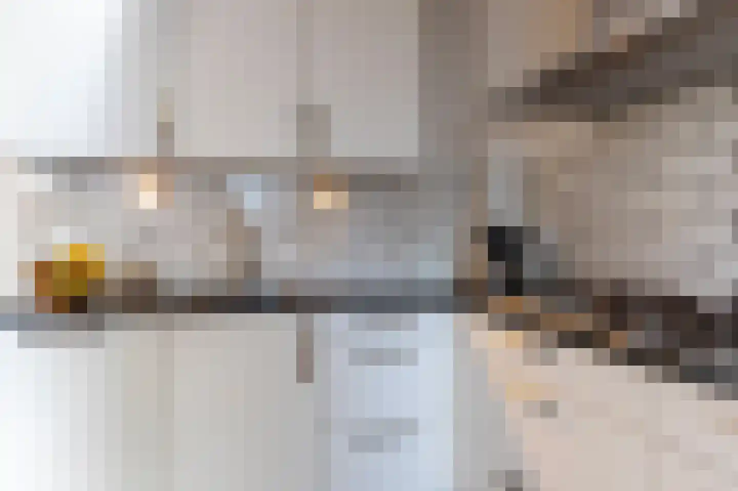 Conincksweg 33 Steenwijkerwold thumbnail 14