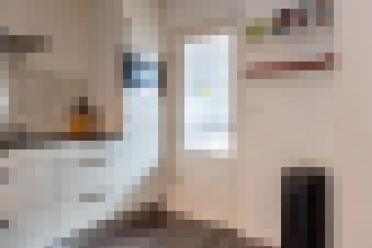 Conincksweg 33 Steenwijkerwold thumbnail 16