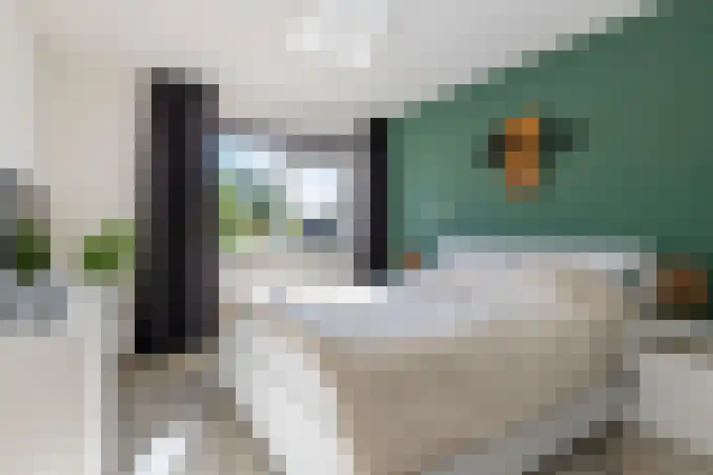 Conincksweg 33 Steenwijkerwold thumbnail 21