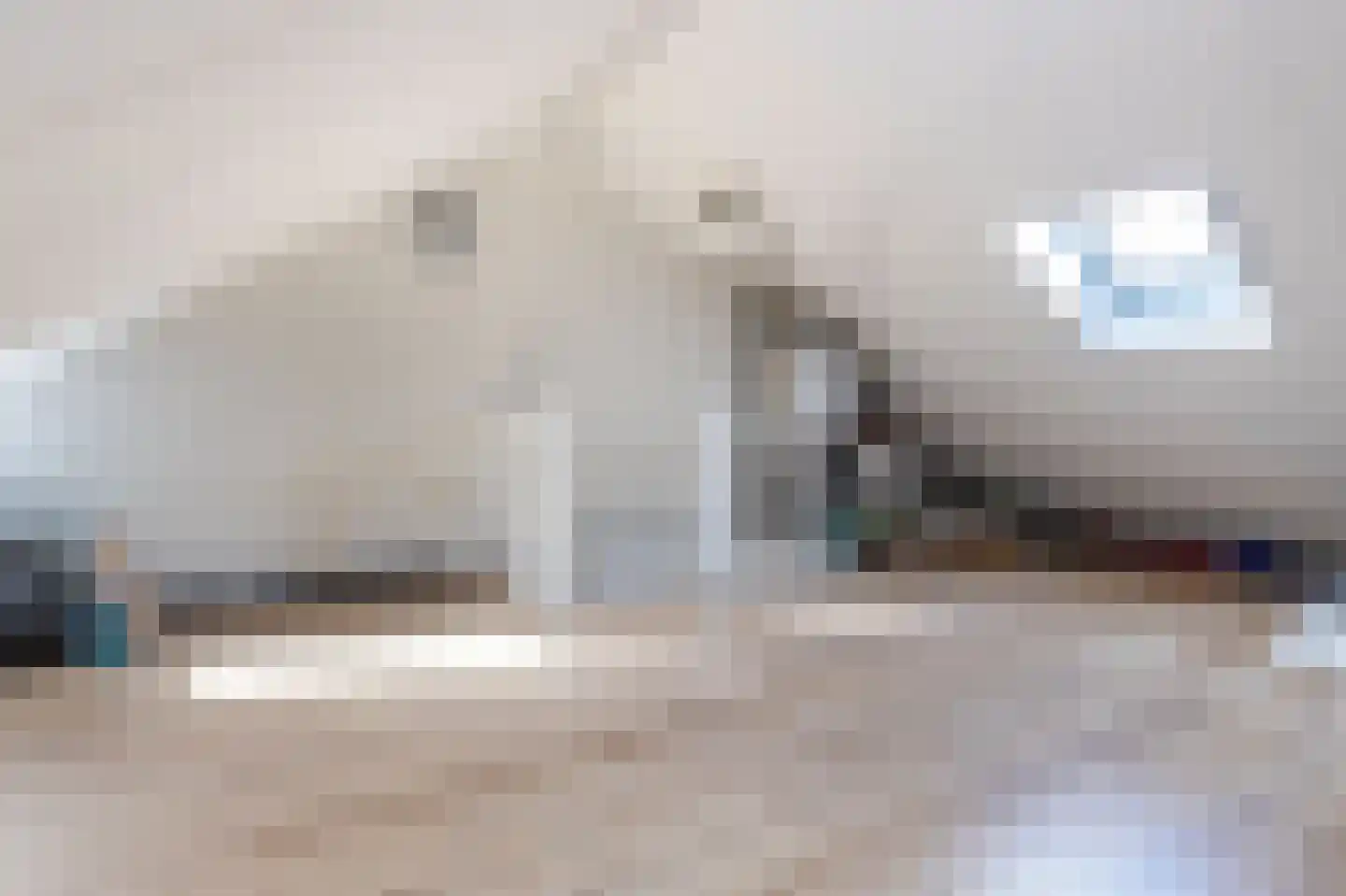 Conincksweg 33 Steenwijkerwold thumbnail 33