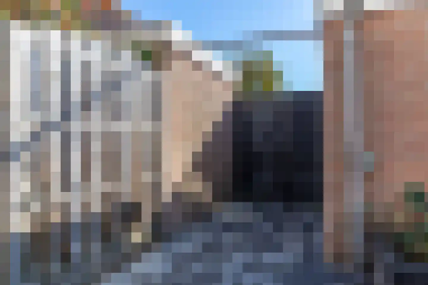 Conincksweg 33 Steenwijkerwold thumbnail 39
