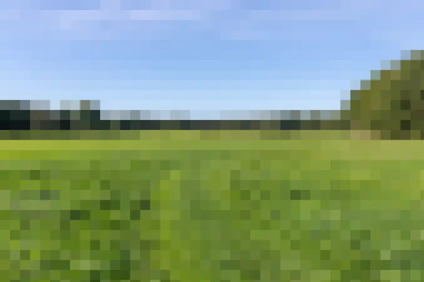 Conincksweg 33 Steenwijkerwold thumbnail 45