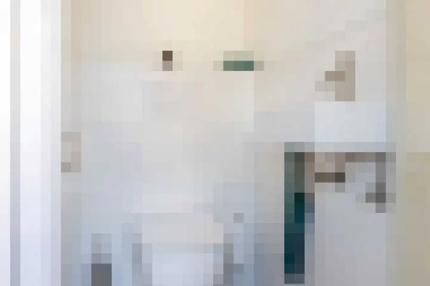 Conincksweg 33 Steenwijkerwold thumbnail 5