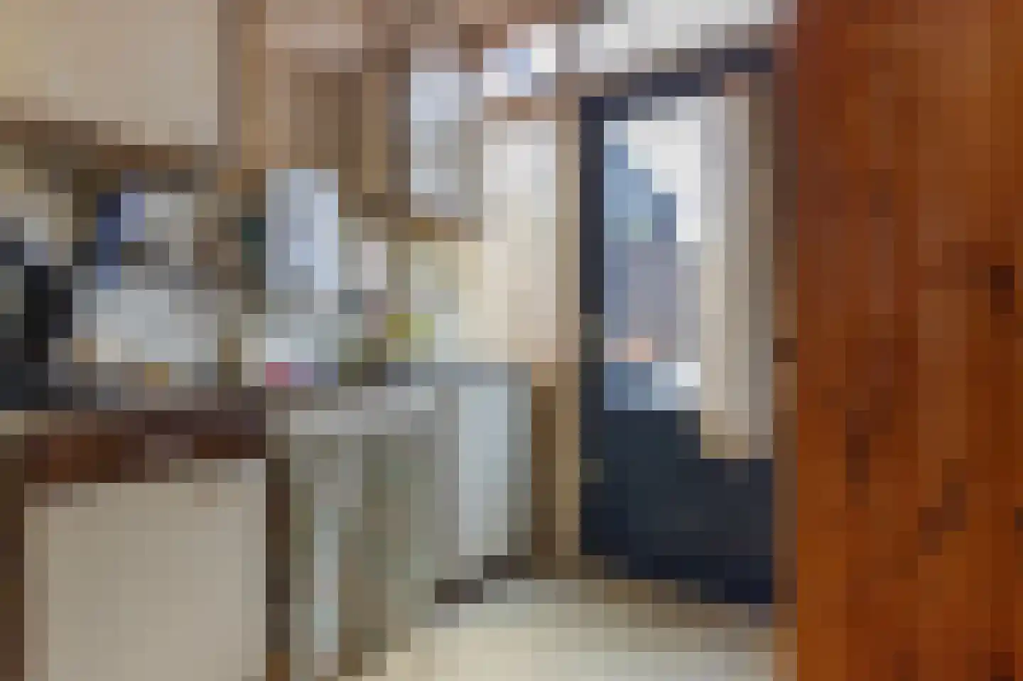 Conincksweg 37 Steenwijkerwold thumbnail 11
