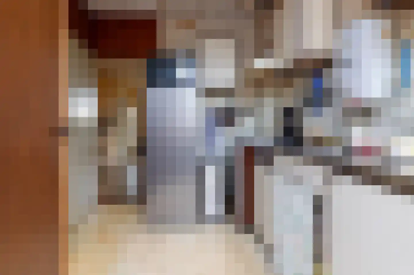 Conincksweg 37 Steenwijkerwold thumbnail 12