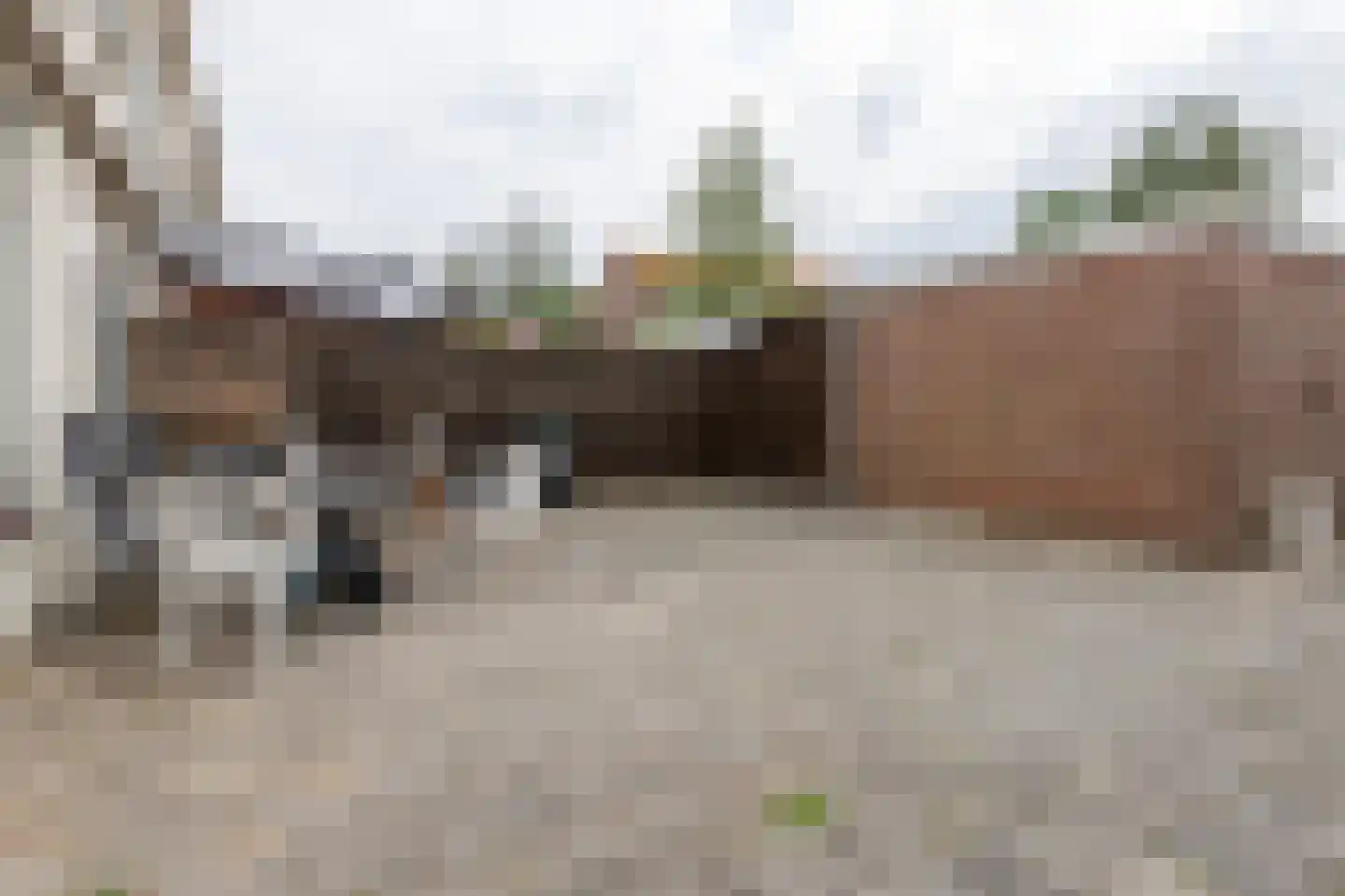 Conincksweg 37 Steenwijkerwold thumbnail 23