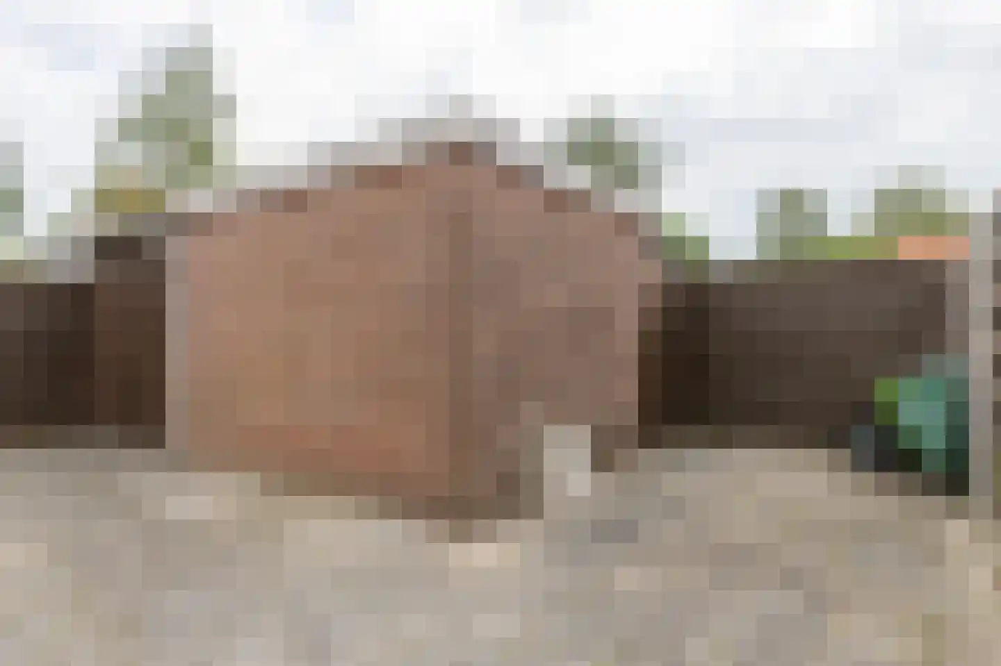 Conincksweg 37 Steenwijkerwold thumbnail 24