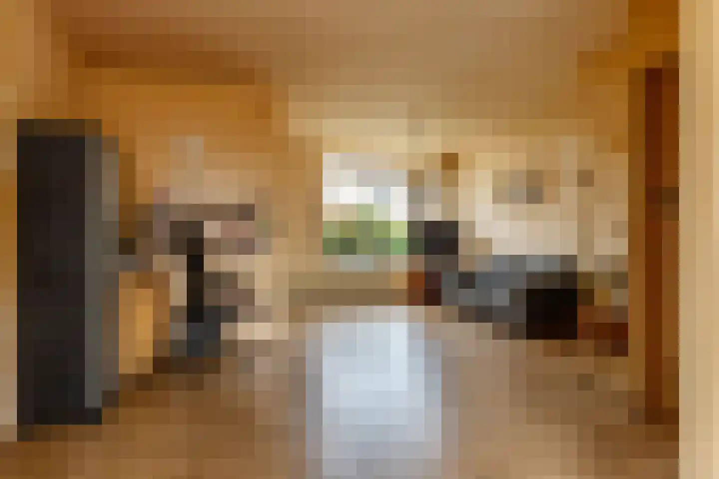 Conincksweg 37 Steenwijkerwold thumbnail 6