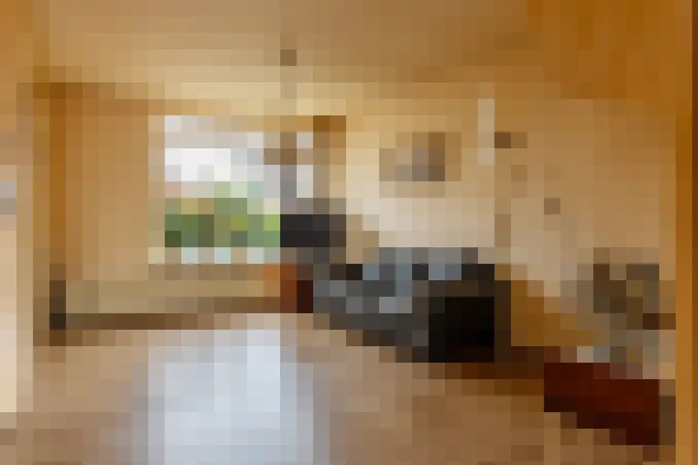 Conincksweg 37 Steenwijkerwold thumbnail 7