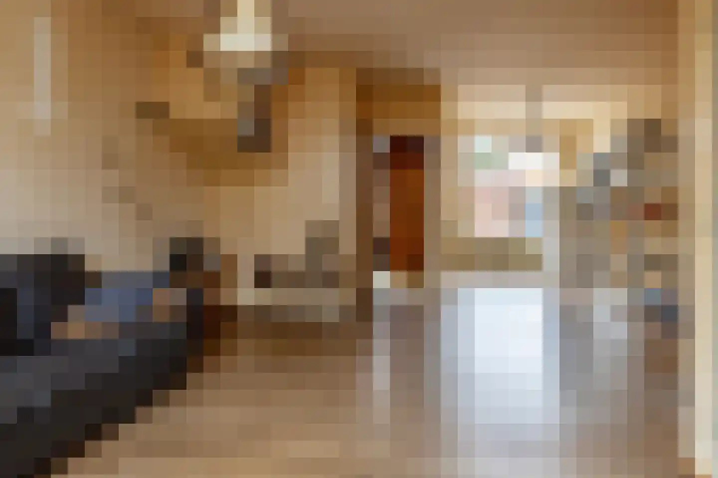 Conincksweg 37 Steenwijkerwold thumbnail 8