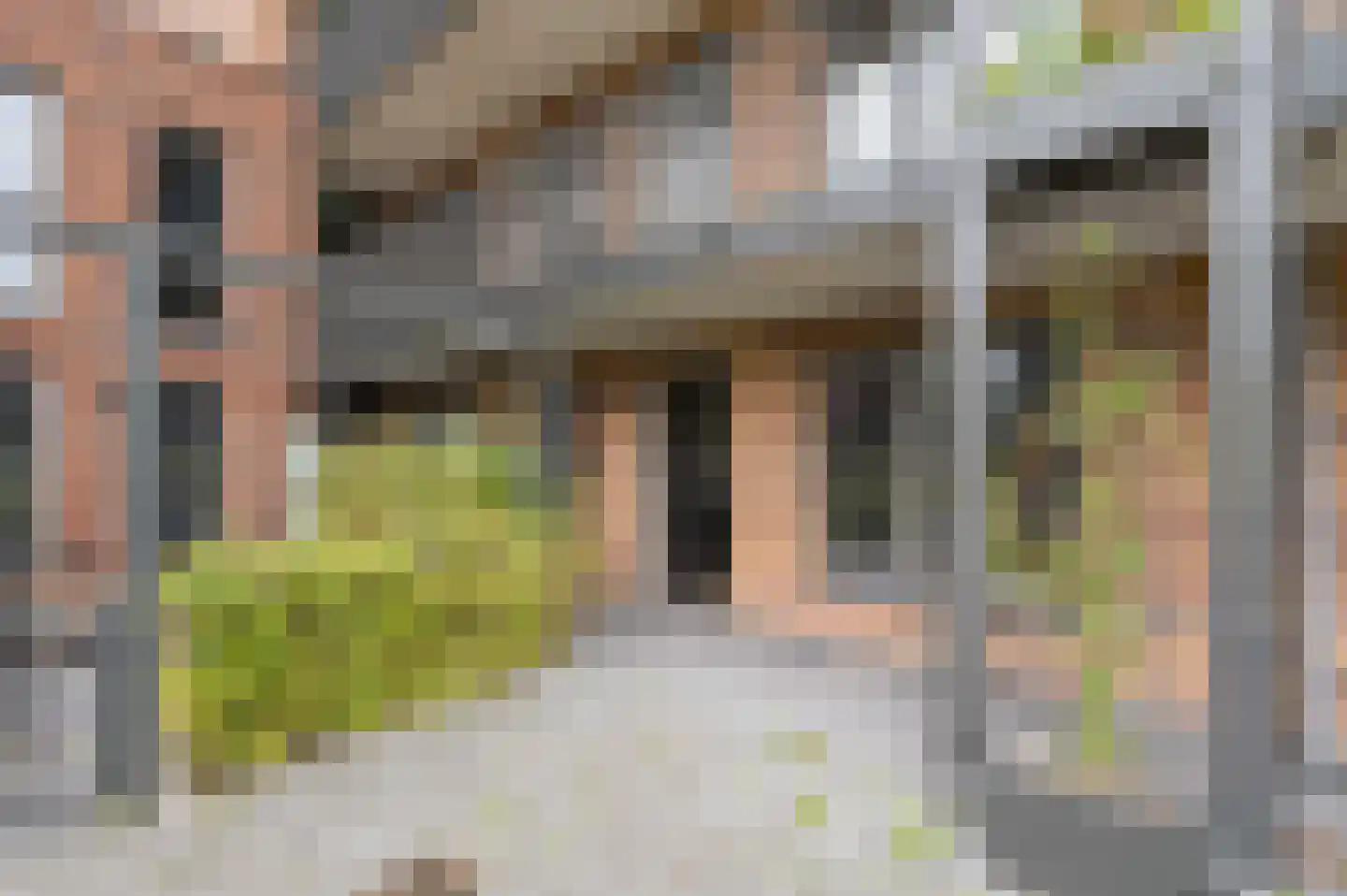 Connie Meijerstraat 5 Hellevoetsluis thumbnail 33