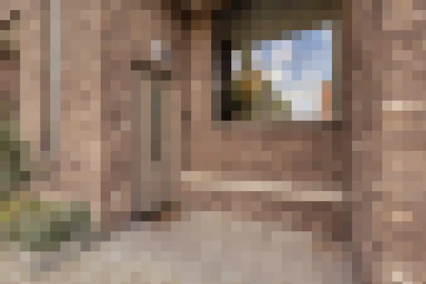 Connie Meijerstraat 6 Hellevoetsluis thumbnail 10
