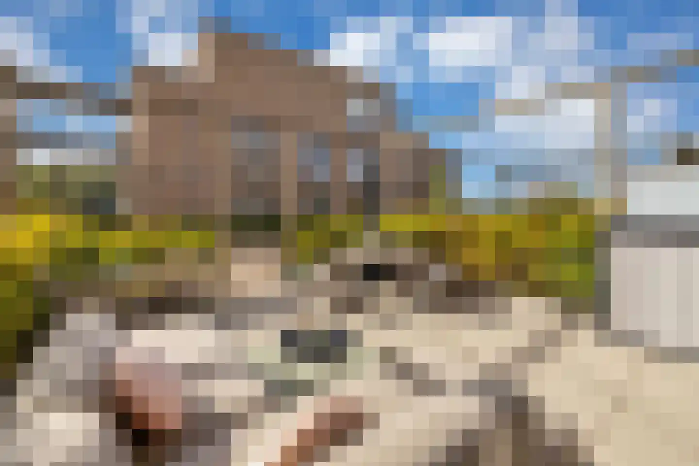 Connie Meijerstraat 6 Hellevoetsluis thumbnail 27