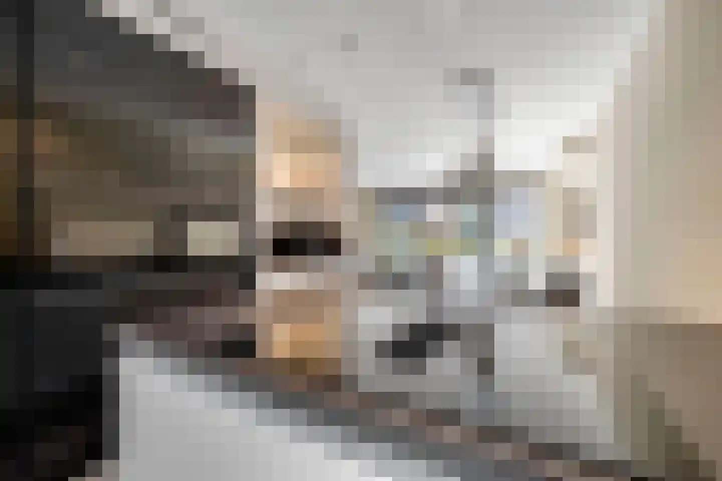 Connie Meijerstraat 6 Hellevoetsluis thumbnail 4