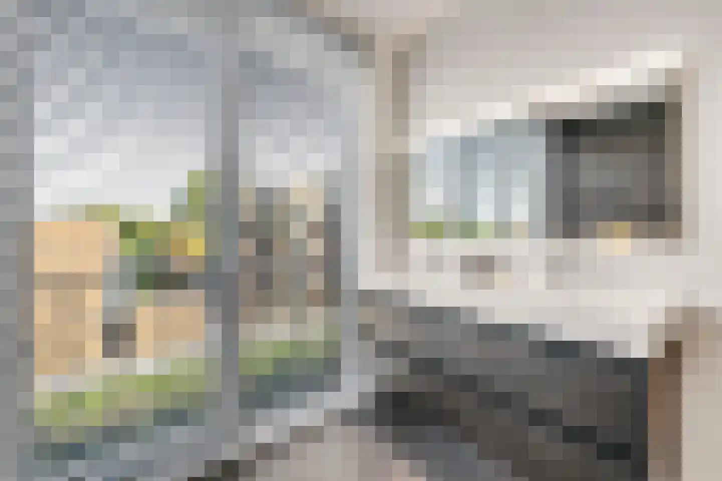 Connie Meijerstraat 6 Hellevoetsluis thumbnail 52
