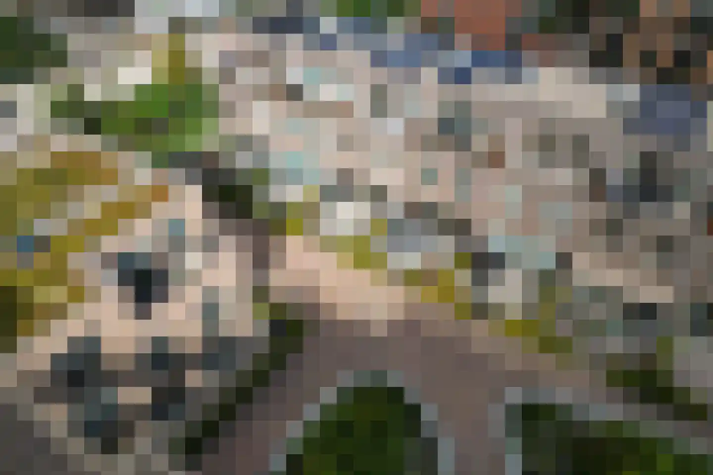Connie Meijerstraat 6 Hellevoetsluis thumbnail 61