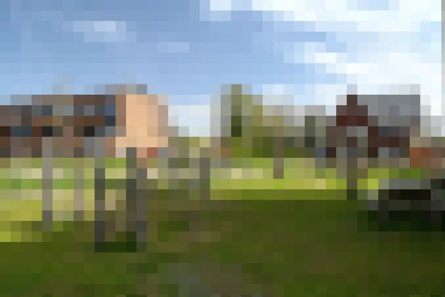 Conny Heijmansstraat 3 Putten thumbnail 18
