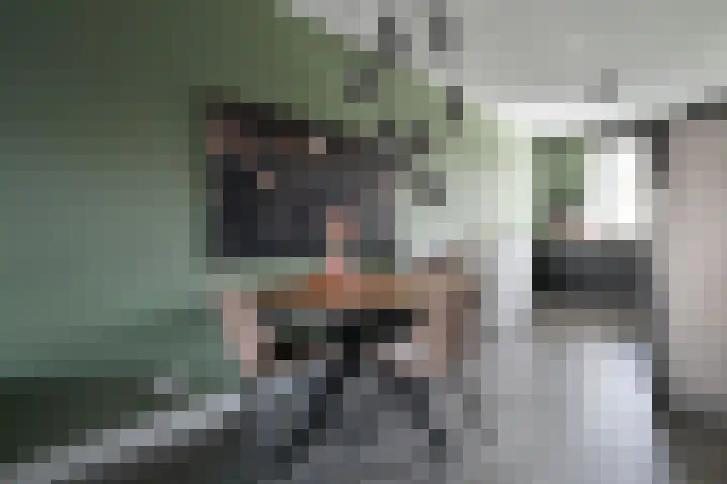 Conny Heijmansstraat 3 Putten thumbnail 8