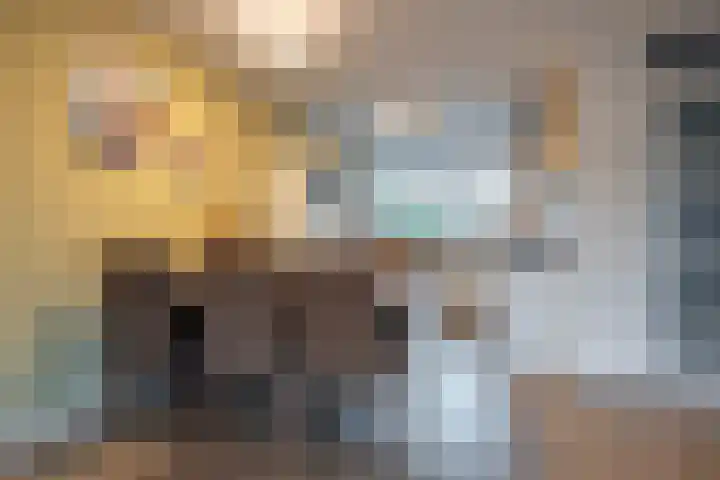 Conny Stuartlaan 12 Beverwijk thumbnail 12