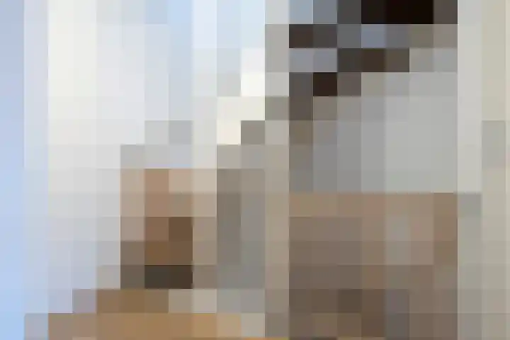 Conny Stuartlaan 12 Beverwijk thumbnail 20
