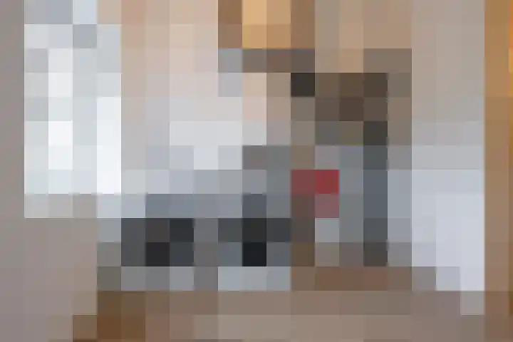 Conny Stuartlaan 12 Beverwijk thumbnail 36