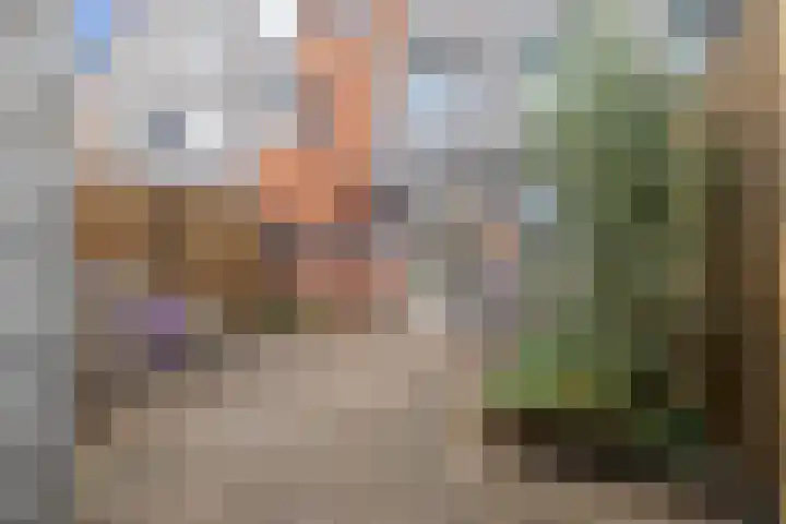 Conny Stuartlaan 12 Beverwijk thumbnail 40