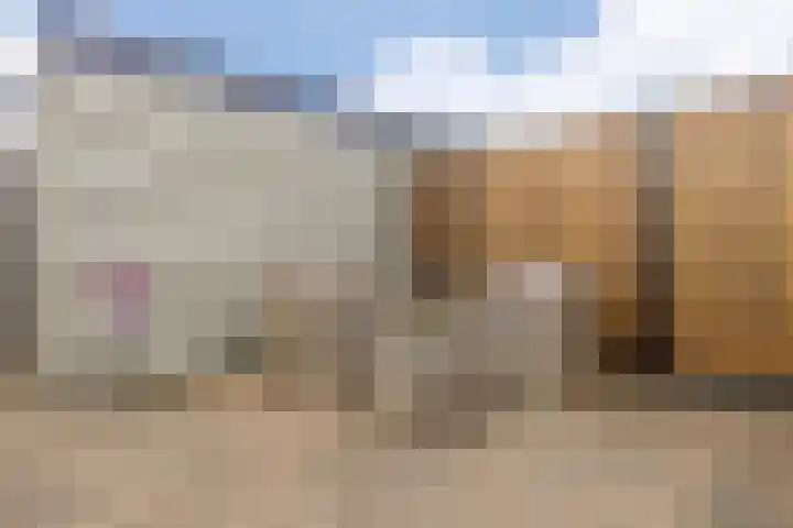 Conny Stuartlaan 12 Beverwijk thumbnail 45