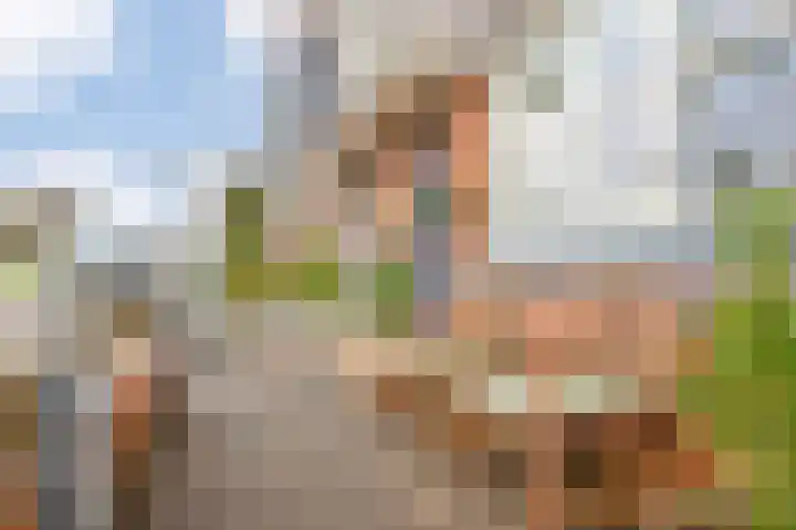 Conny Stuartlaan 12 Beverwijk thumbnail 5