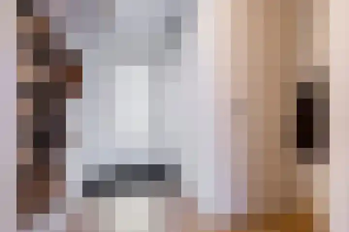 Conny Stuartlaan 12 Beverwijk thumbnail 7