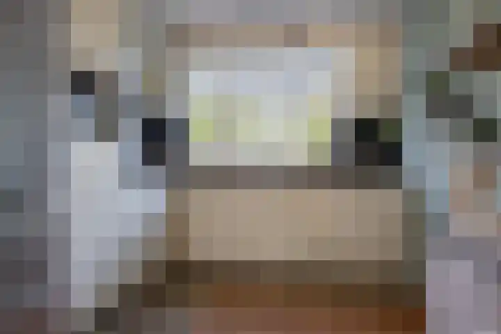 Conny Stuartlaan 38 Beverwijk thumbnail 19
