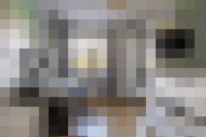 Conny Stuartlaan 38 Beverwijk thumbnail 28