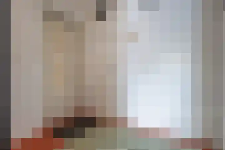 Conny Stuartlaan 38 Beverwijk thumbnail 6