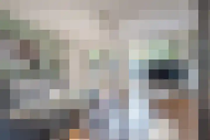 Conny Stuartlaan 38 Beverwijk thumbnail 8